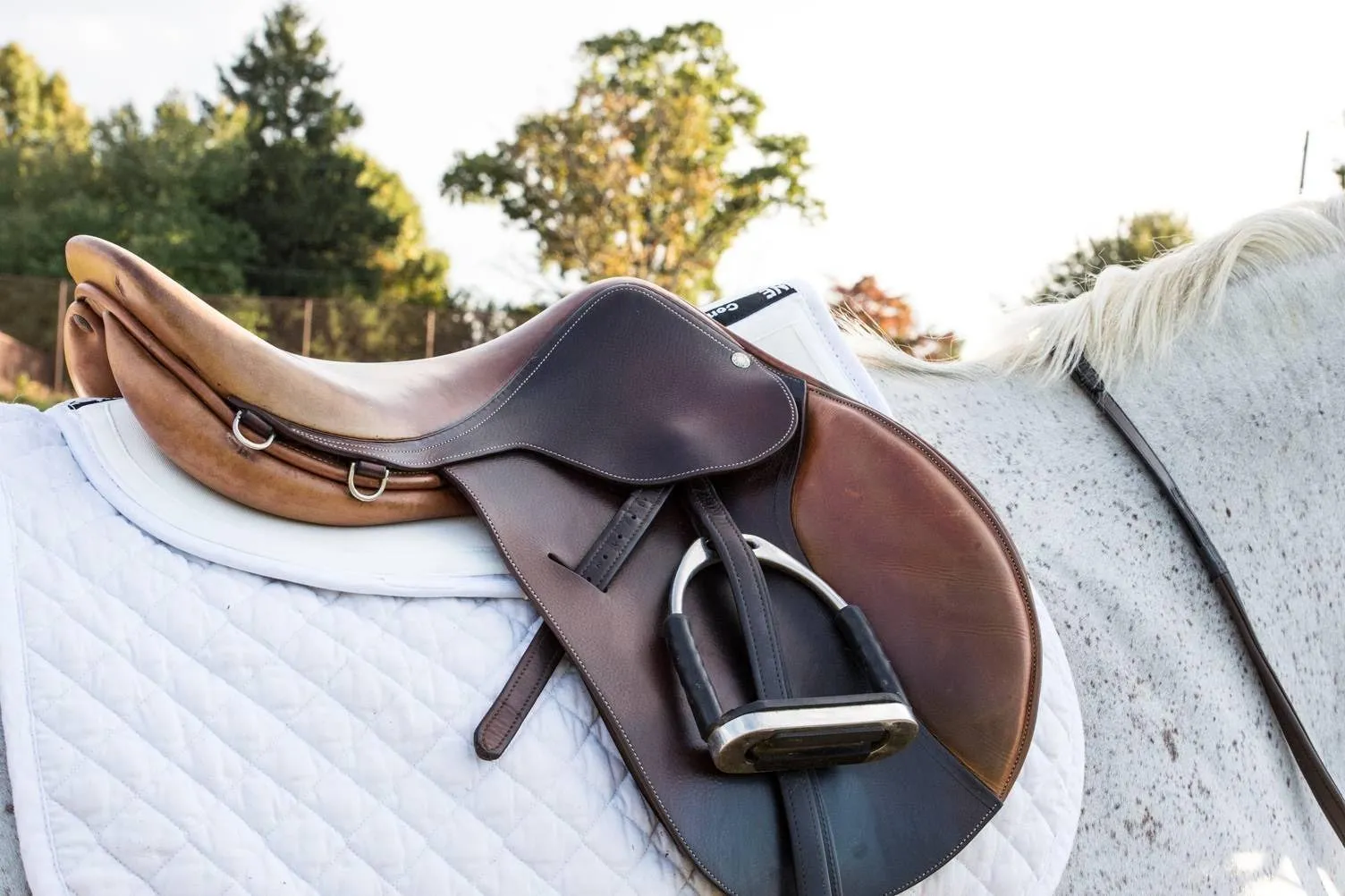 ThinLine Trifecta Cotton Half Pad