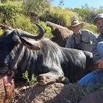 Tootabi Hunting Safaris - 9 Days  - 8 Trophy Animals