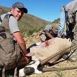 Tootabi Hunting Safaris - 9 Days  - 8 Trophy Animals