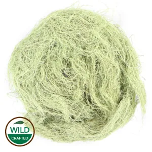 Usnea Lichen 1 oz. (wild crafted)