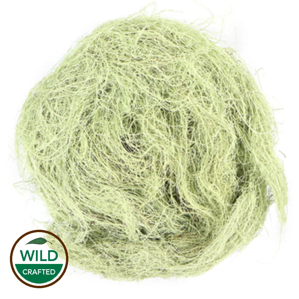 Usnea Lichen 1 oz. (wild crafted)