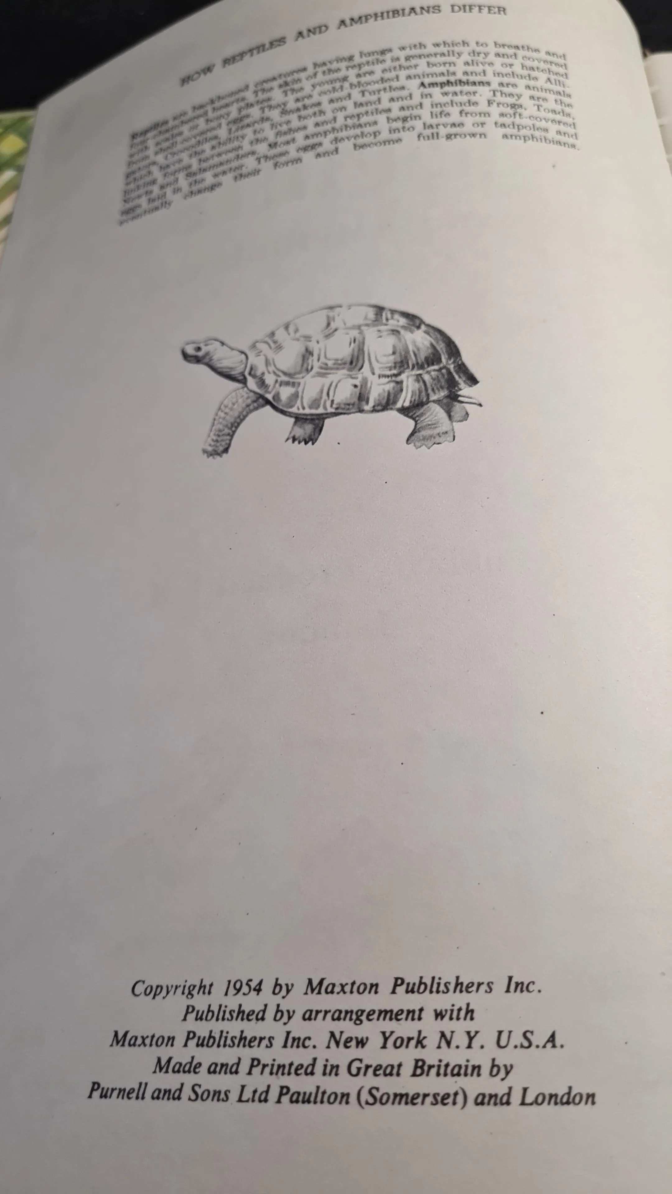 Valerie Swenson - Reptiles and Amphibians, Publicity Products, 1954