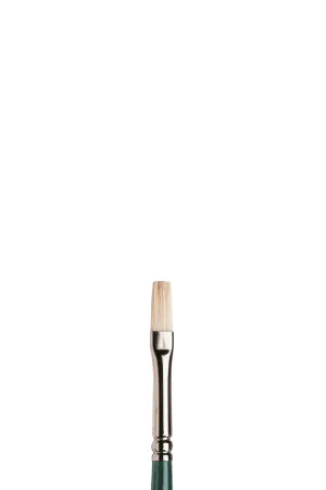 WINTON Brush Bristle-  FLAT 2 Long handle